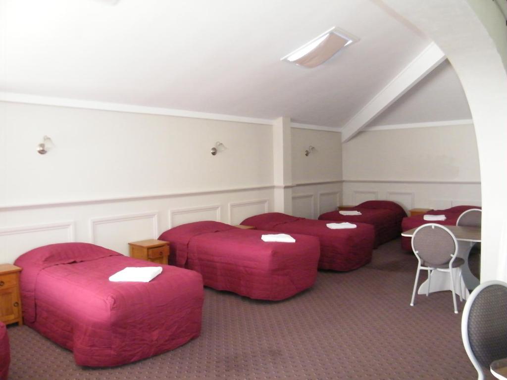 Colonial City Motel 해밀턴 객실 사진